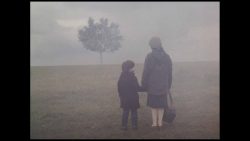 نقد و بررسی فیلم landscape in the mist